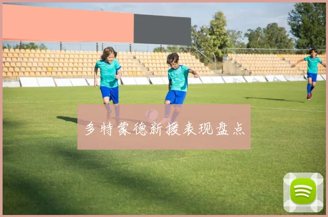 多特蒙德新援表现盘点